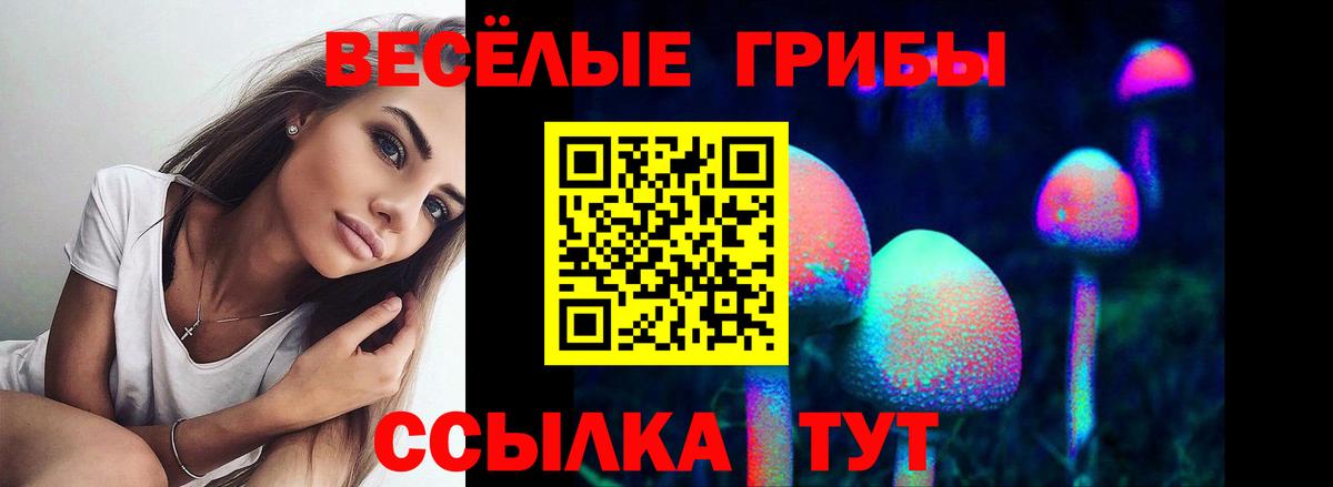 Псилоцибиновые грибы Magic Shrooms  Псилоцибиновые грибы прущие грибы  Вход с VPN  Киров 